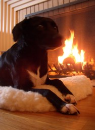 firepose.jpg