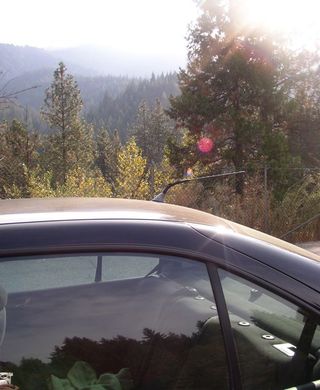 Jetta