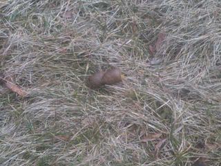 IMG01546-20110401-1843