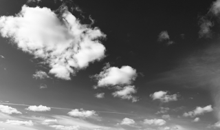 E9F41809-B766-4B5A-9EF8-5AAA1529DE0A